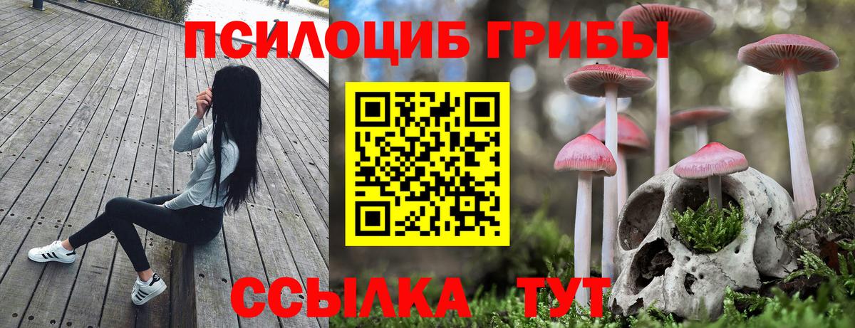 Псилоцибиновые грибы Magic Shrooms  Вход с VPN  Псилоцибиновые грибы мицелий  Жуковский 